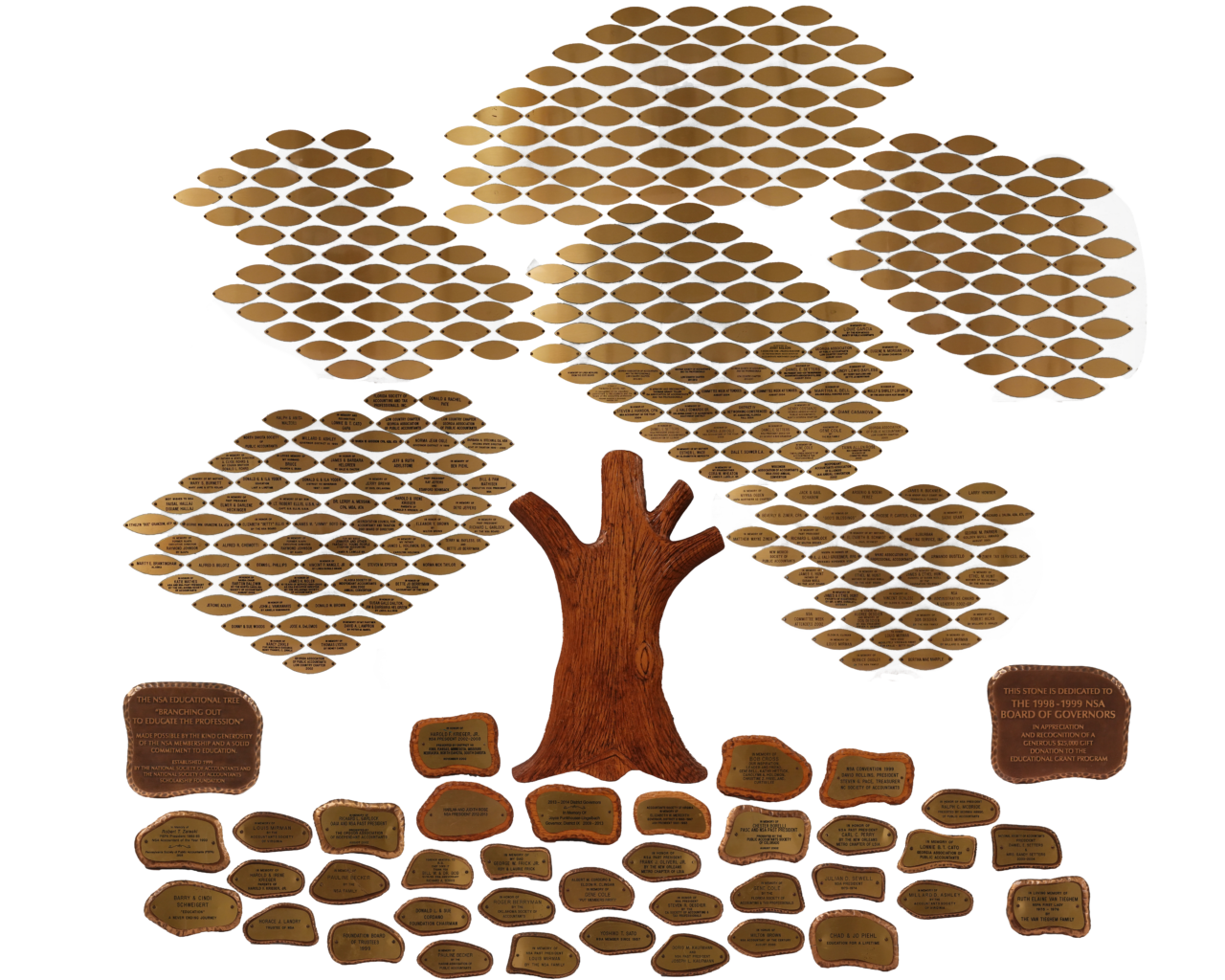 Foundation Donor Tree | NSA